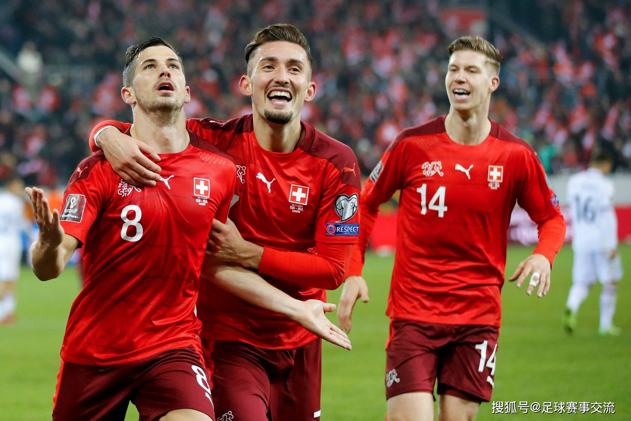 土耳其队在比赛中奋力拼搏，赢得了胜利