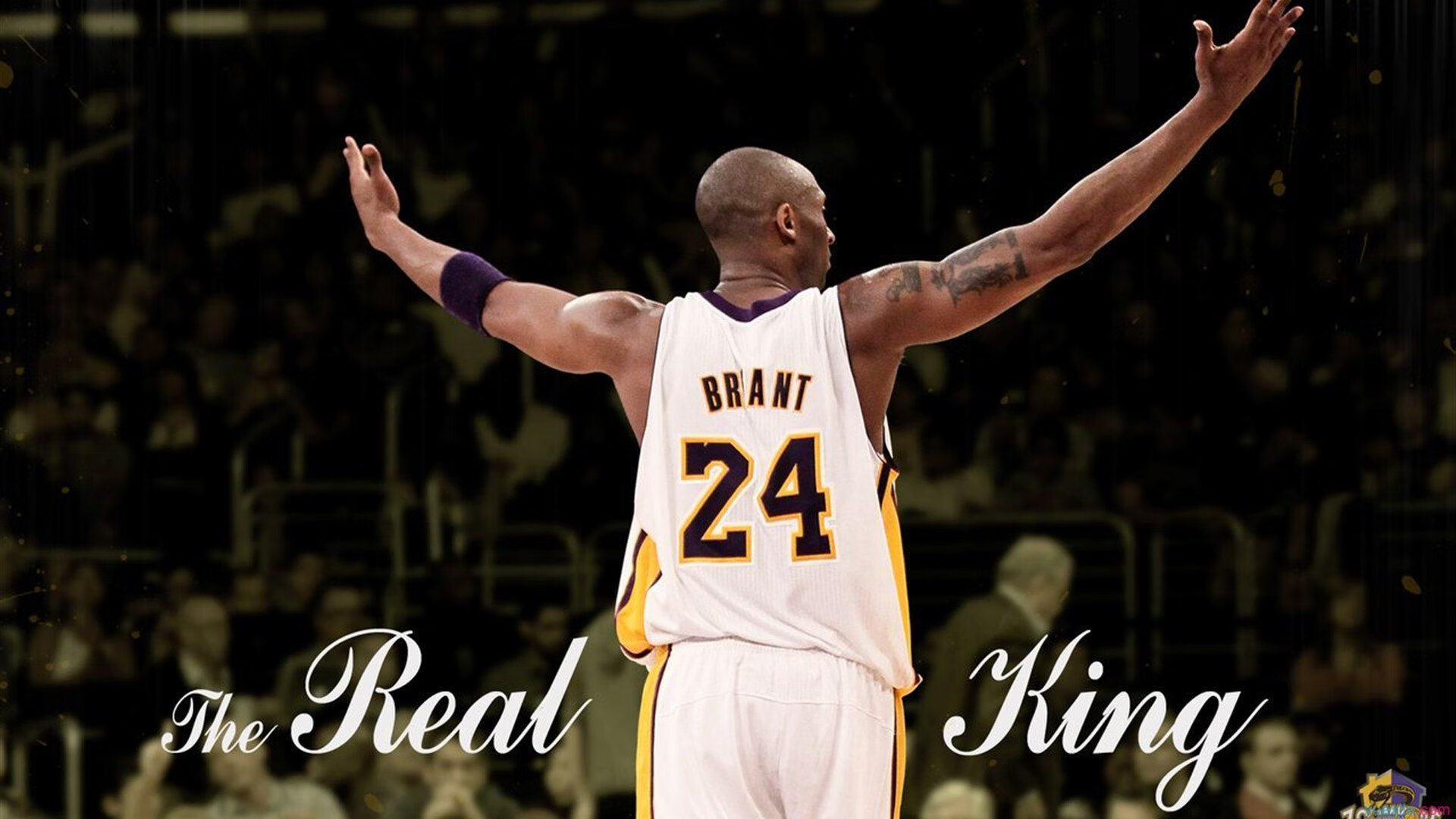 步行者鏖战吉林队，霍勒迪状态火热点燃全场